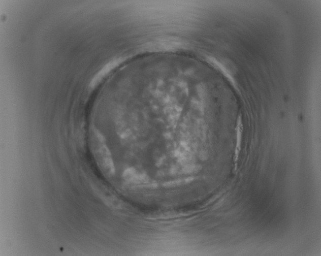 X0000077360675200611101640