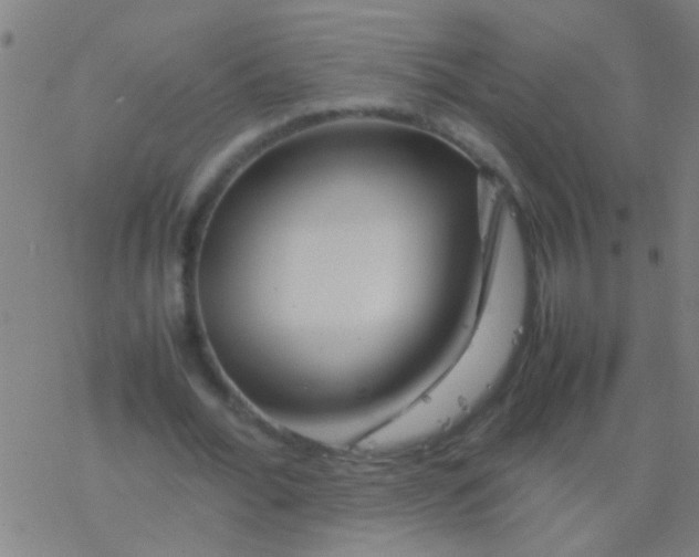 X0000077360676200611101640