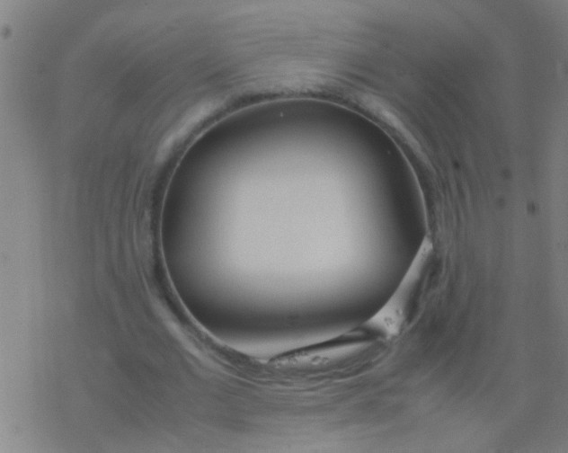 X0000077360677200611101640