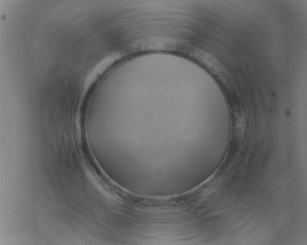 X0000077360678200611101640