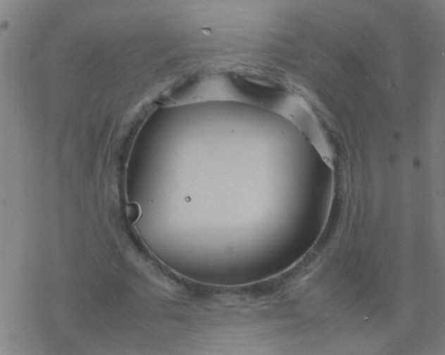 X0000077360681200611101640