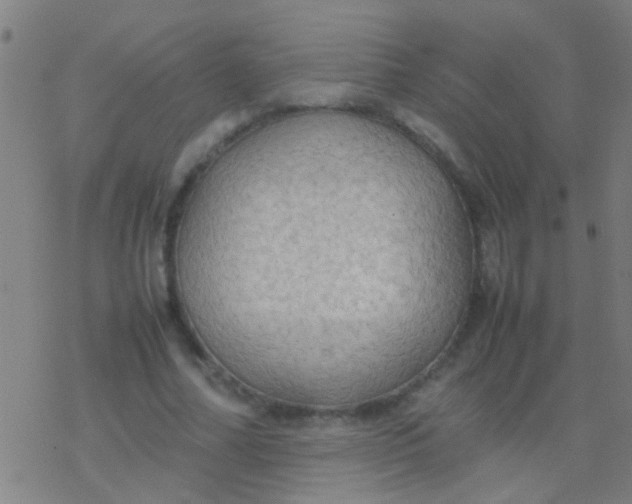 X0000077360682200611101640