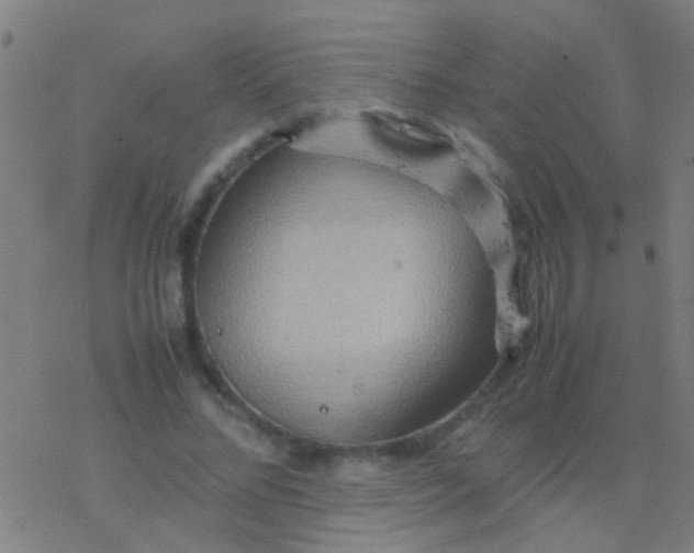 X0000077360684200611101639