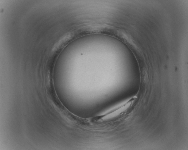 X0000077360685200611101639