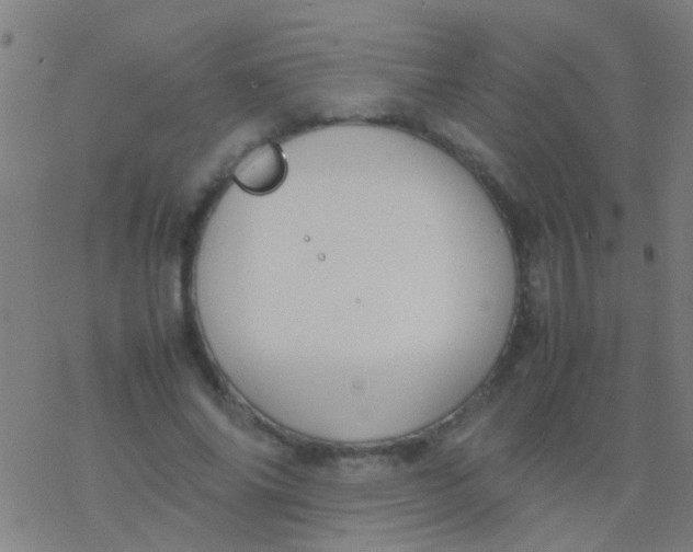 X0000077360686200611101639