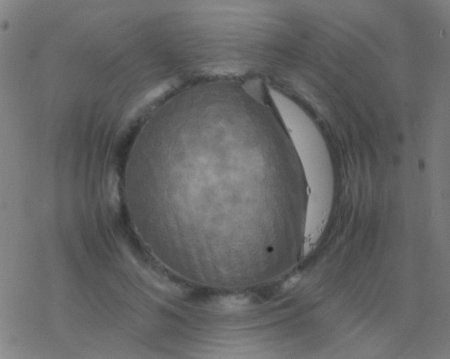 X0000077360692200611101639