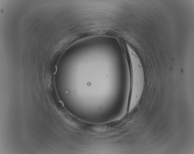 X0000077360693200611101639