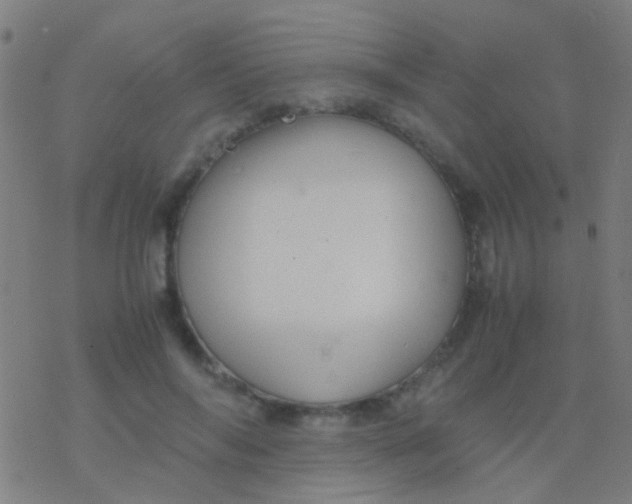 X0000077360694200611101639