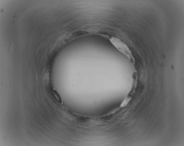 X0000077360697200611101639