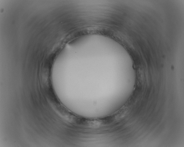 X0000077360698200611101639