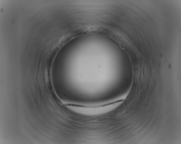 X0000077360700200611101639