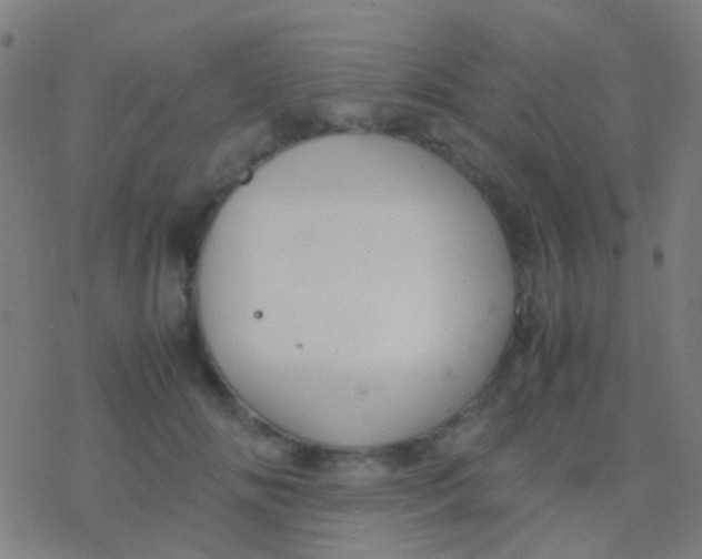 X0000077360702200611101639