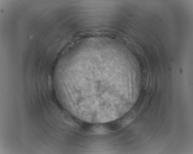 X0000077360704200611101639