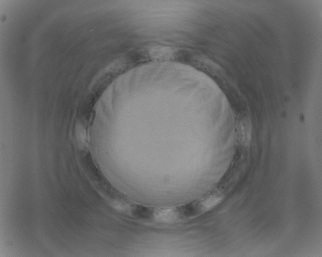 X0000077360705200611101639