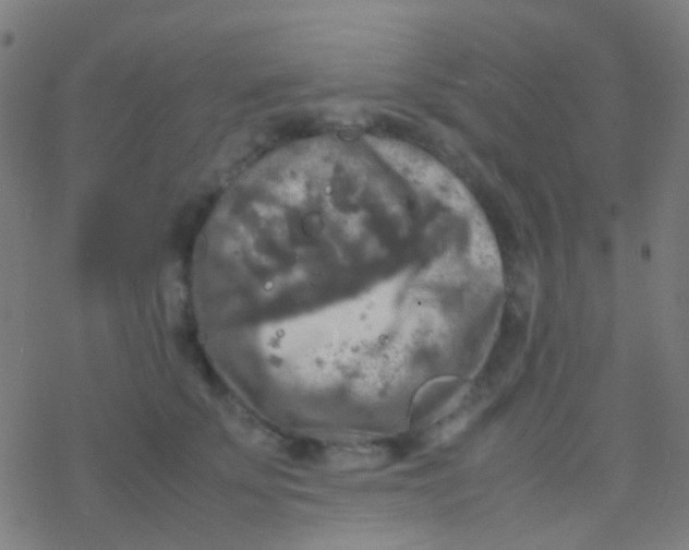 X0000077360707200611101639