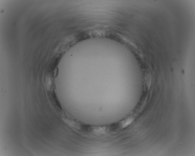 X0000077360709200611101639