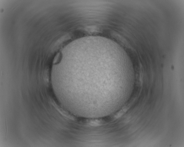 X0000077360710200611101639