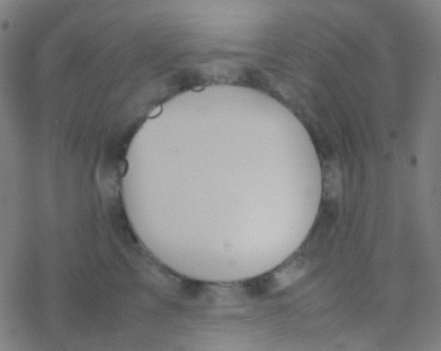 X0000077360713200611101639