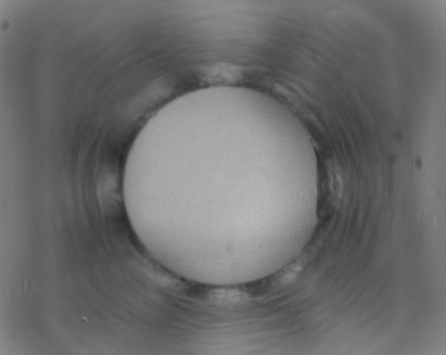 X0000077360714200611101639