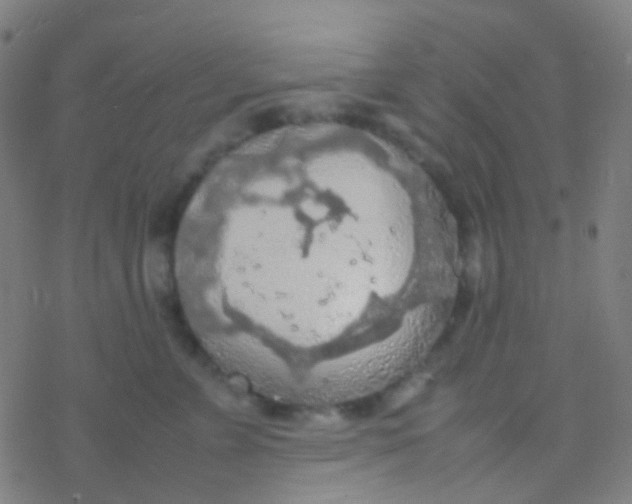 X0000077360715200611101639