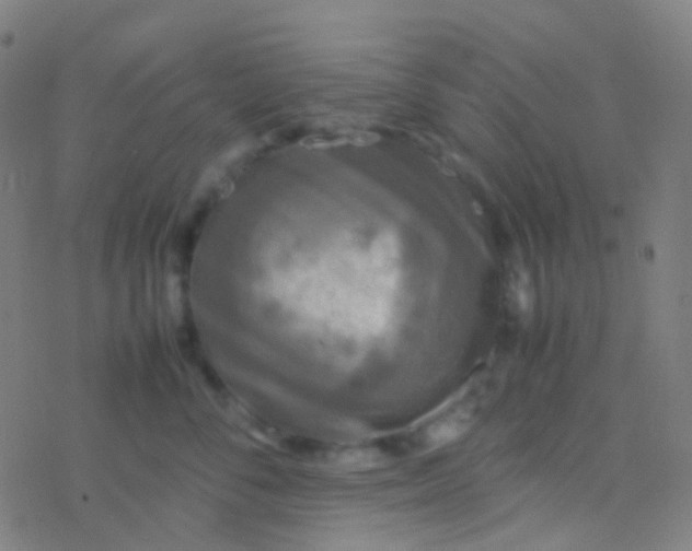 X0000077360716200611101639