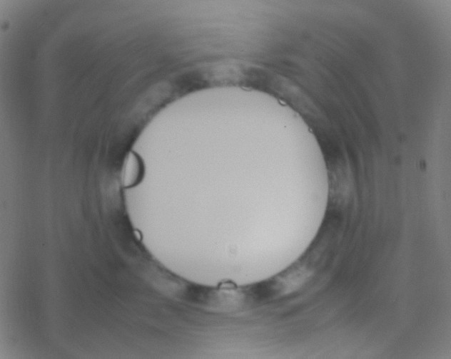 X0000077360717200611101639