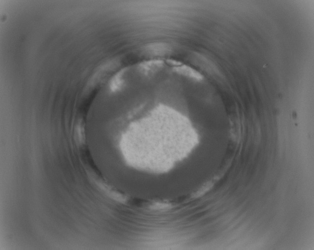 X0000077360718200611101639