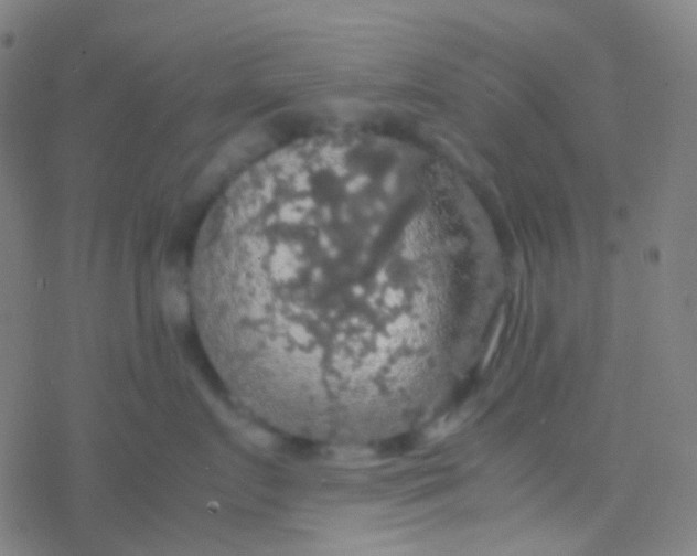 X0000077360719200611101639