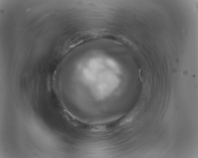 X0000077360720200611101639