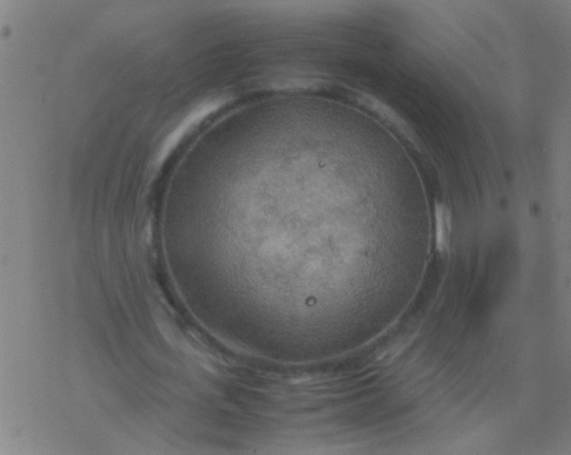 X0000077360723200611101638