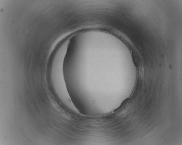 X0000077360724200611101638