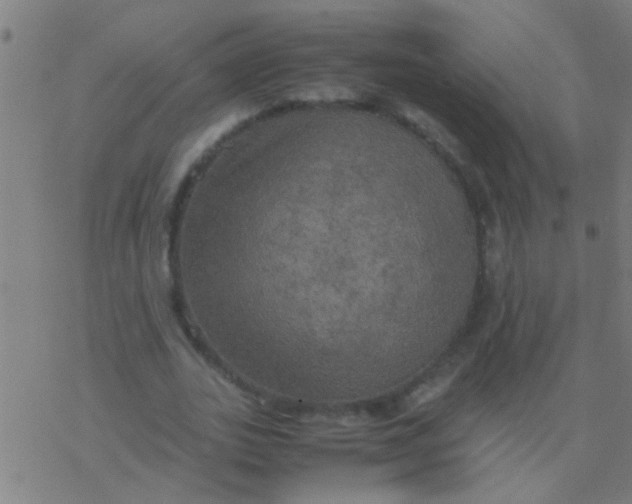 X0000077360727200611101638