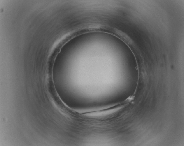 X0000077360728200611101638