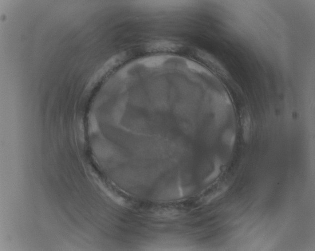 X0000077360729200611101638