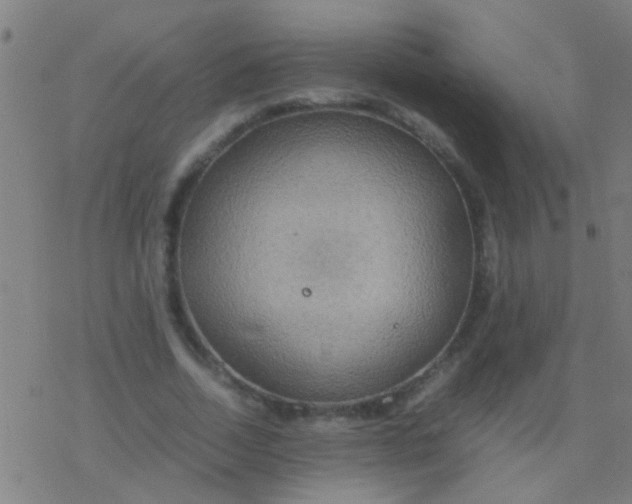 X0000077360730200611101638