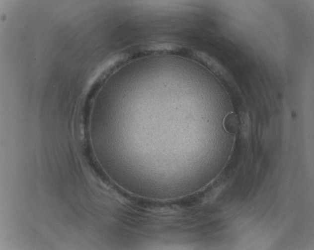 X0000077360731200611101638