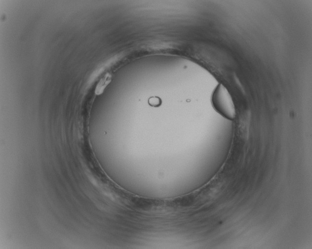 X0000077360732200611101638