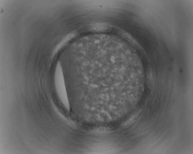 X0000077360734200611101638