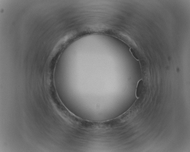 X0000077360736200611101638