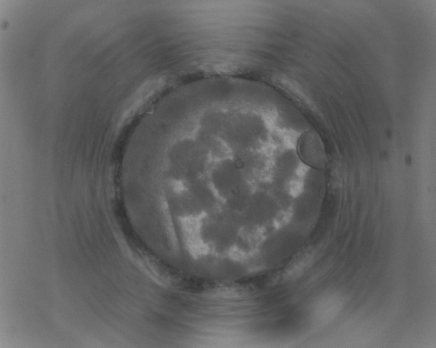 X0000077360738200611101638