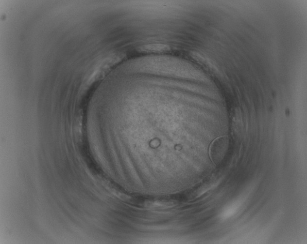 X0000077360739200611101638