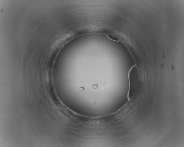 X0000077360740200611101638