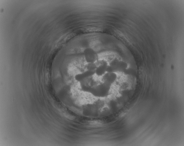 X0000077360741200611101638