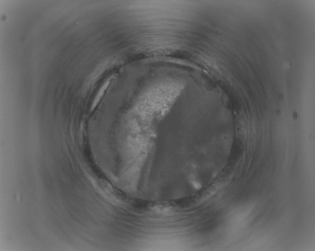 X0000077360742200611101638