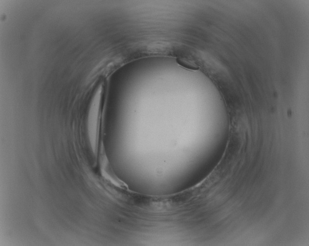 X0000077360744200611101638