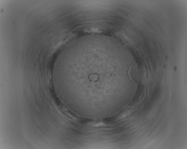 X0000077360747200611101639