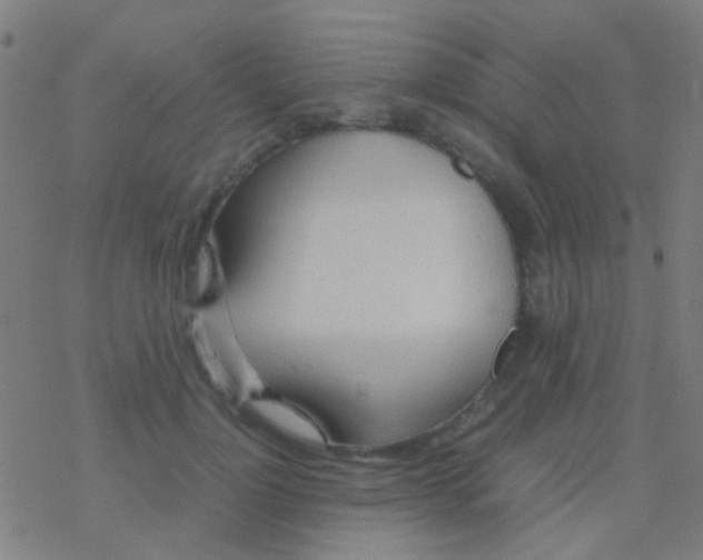 X0000077360748200611101639