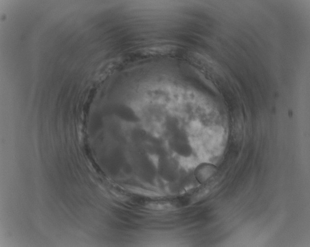 X0000077360749200611101639