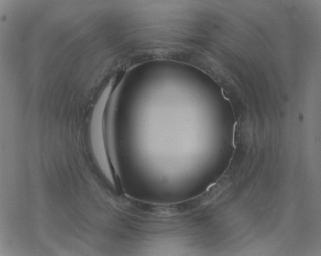 X0000077360750200611101639