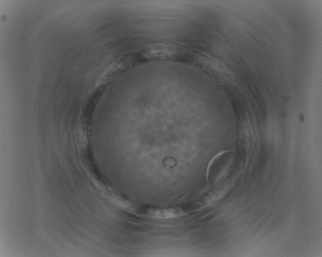 X0000077360751200611101639